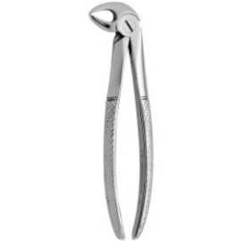 Tooth Forceps N.33