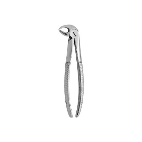 Tooth Forceps N.33