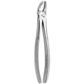 Tooth Forceps N.20