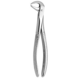 Tooth Forceps N.75