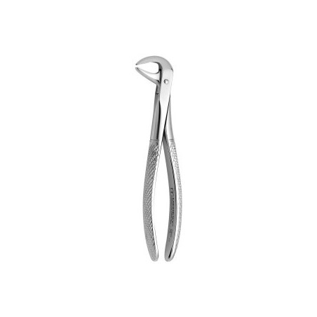 Tooth Forceps N.75