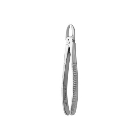 Tooth Forceps N.54