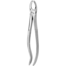 Tooth Forceps N.95