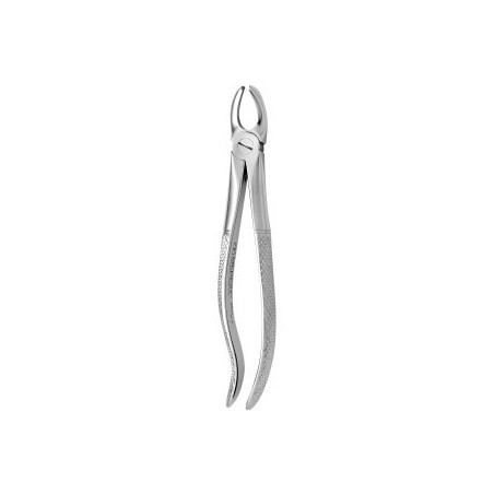 Tooth Forceps N.95