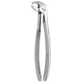 Tooth Forceps N.24