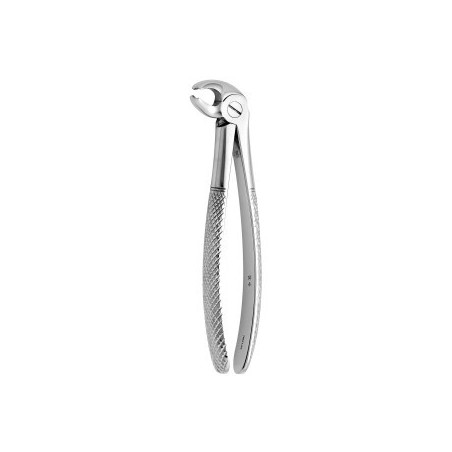 Tooth Forceps N.24