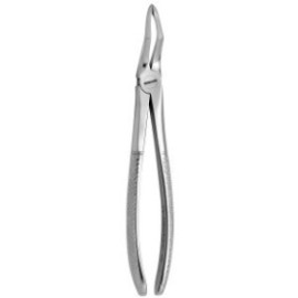 Tooth Forceps N.189