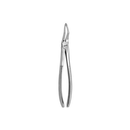 Tooth Forceps N.189