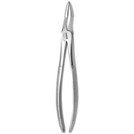 Tooth Forceps N.51