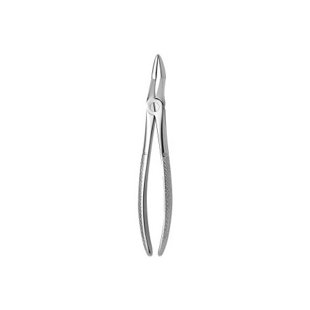 Tooth Forceps N.51