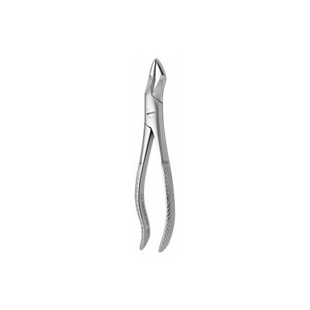 Forceps Upper Roots No.101A