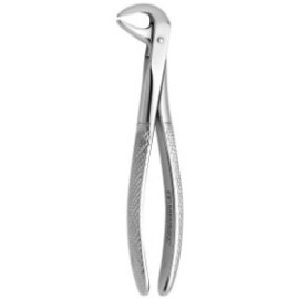 Tooth Forceps N.75-A