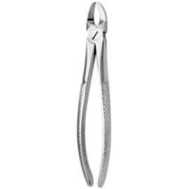 Tooth Forceps N.55