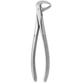 Tooth Forceps N.114