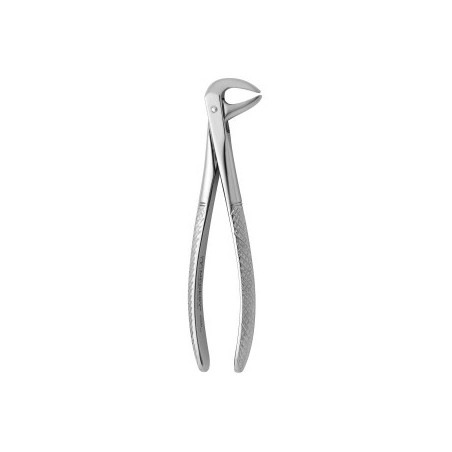 Tooth Forceps N.114