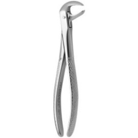 Tooth Forceps N.73