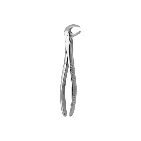 Tooth Forceps N.73