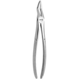 Tooth Forceps N.51-A