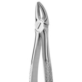 Tooth Forceps N.136