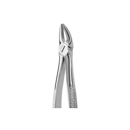 Tooth Forceps N.136