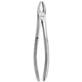 Tooth Forceps N.1