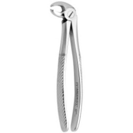 Tooth Forceps N.22