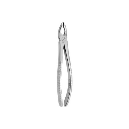 Tooth Forceps N.181