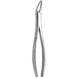 Tooth Forceps Witzel N.223