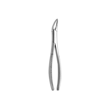 Tooth Forceps Witzel N.223