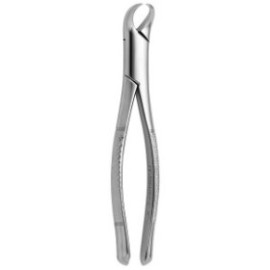 Tooth Forceps American N.23