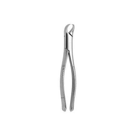 Tooth Forceps American N.23