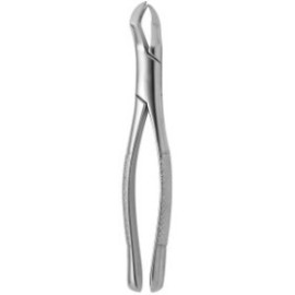 Tooth Forceps American N.88-R