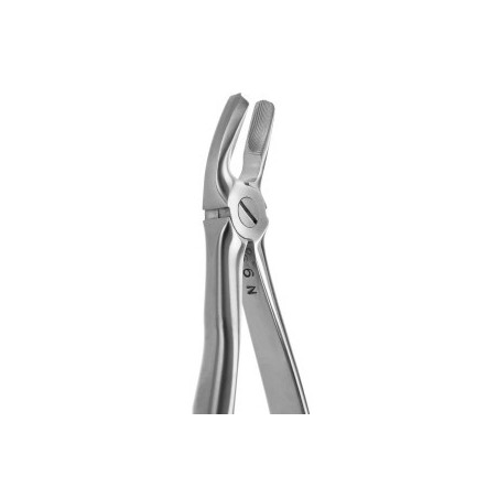 Tooth Forceps Blade Beaks N.17