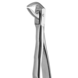 Tooth Forceps Blade Beaks N.74