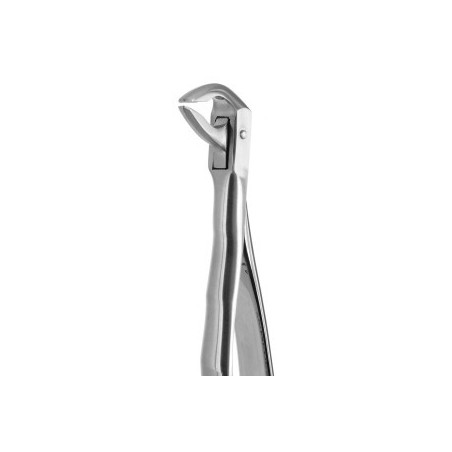 Tooth Forceps Blade Beaks N.74