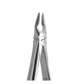 Tooth Forceps Central & Canine