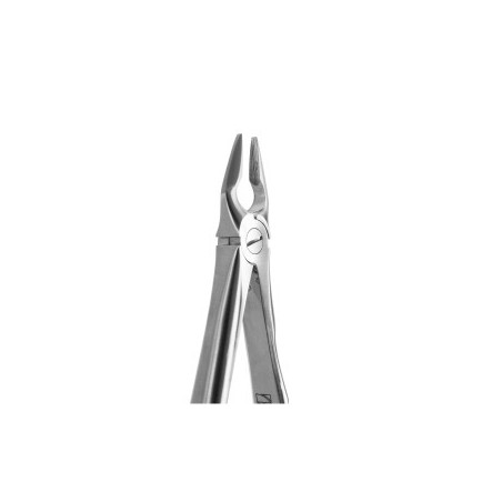 Tooth Forceps Central & Canine