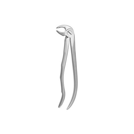 Tooth Forceps Blade Beaks N.22