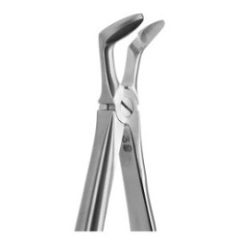 Tooth Forceps Lower 3rd Molar