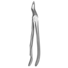 Tooth Forceps Blade Beaks N.51