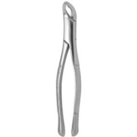 Tooth Forceps American N.203