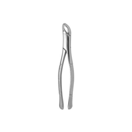 Tooth Forceps American N.203