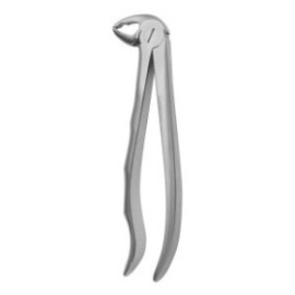 Pedo Tooth Forceps, Squared Beaks, Lower Teeth N.133