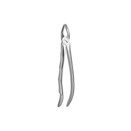 Tooth Forceps Blade Beaks N.1