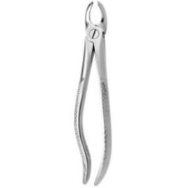 Tooth Forceps N.97