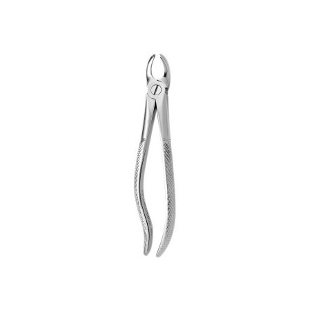 Tooth Forceps N.97