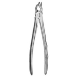 Tooth Forceps Dr.Comella