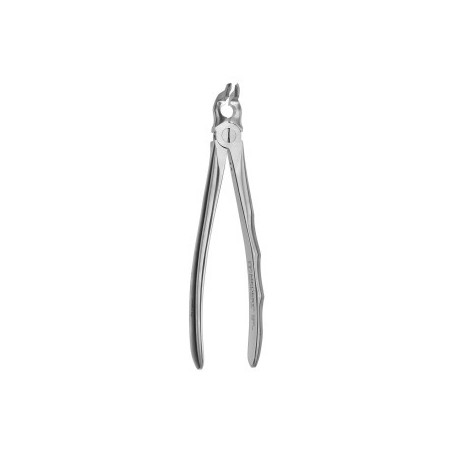 Tooth Forceps Dr.Comella