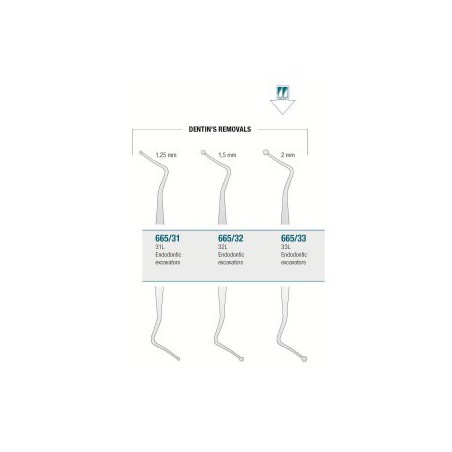 Endodontic Excavator 33L