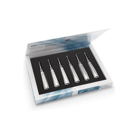 Set Root Elevators Lussatore